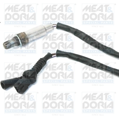 Oxygen Sensor